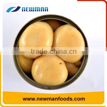 2017 new crop canned mushroom whole 400g