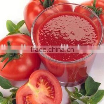 export 2016 new crop Red Canned Tomato Paste for Soup,diets & restaurant