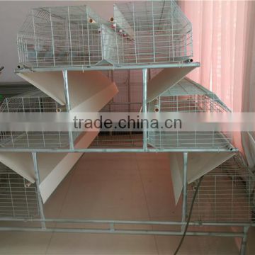 cage feeding system for chicken
