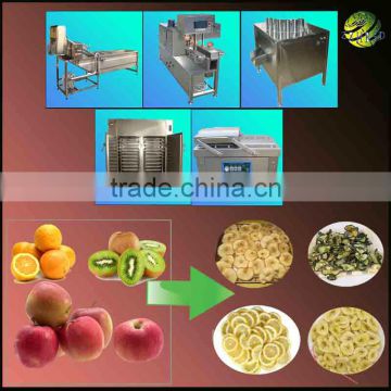 dried fruit production line