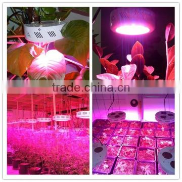 bridgelux epistar dual spectrum 135w led grow lights for plants growing