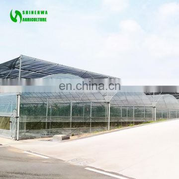 High Quality  Low Price Agricultural Greenhouse/Garden Greenhouse/Hydroponics Greenhouse