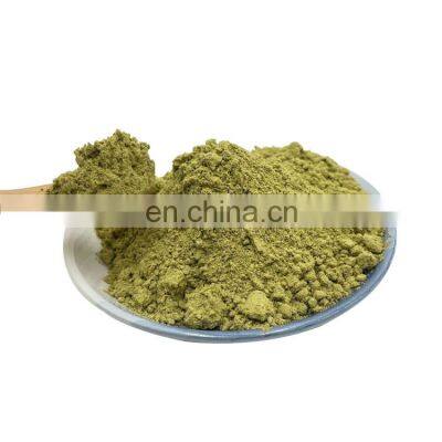 Natural Ginkgo Biloba Extract Powder Ginkgo Biloba Leaf Extract