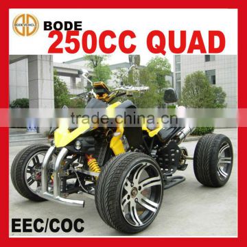 NEW 250CC Quad Racing With EEC (MC-388)