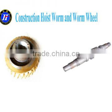 Construction Hoist Worm and Worm Wheel