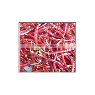 export dried red chilli
