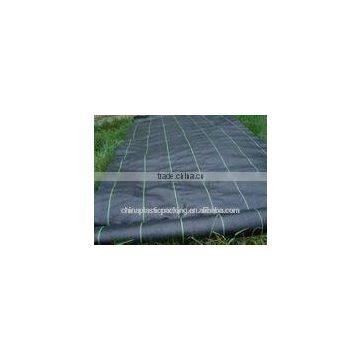 PP ground cover for weed mat