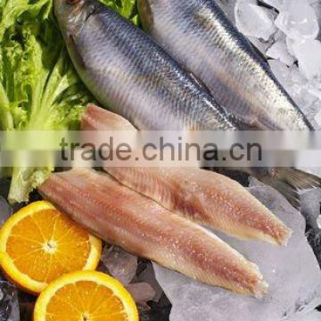fresh herring fillet