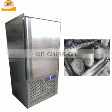 Commercial upright refrigerator vertical container plate deep freezer equipment