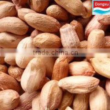 wholesale peanuts long type