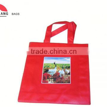 PP laminated bag/Nonwoven Shopping Bag