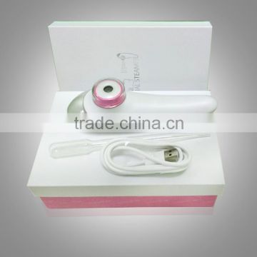 High Quality China Factory Supply Personal Portable Nano Mist Beauty Facial Steamer Spray
