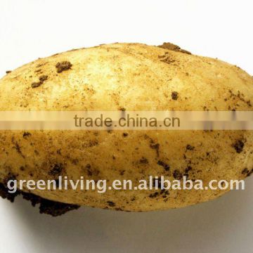 2014 chinese potato fresh