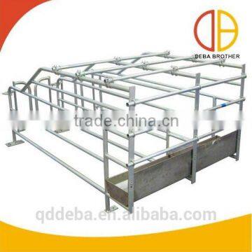 pig farming use hot galvanized gestation crate sow stall insemination stall