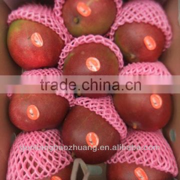 China Customed Colorful EPE Foam Fruit Packaging Net