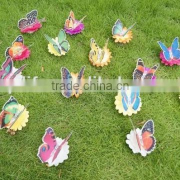 Hot sale decoration led fiber optic light for Butterfly from China supplier