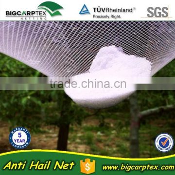hot sales, Agriculture anti hail net , hail guard net (20 years' Shanghai factory)