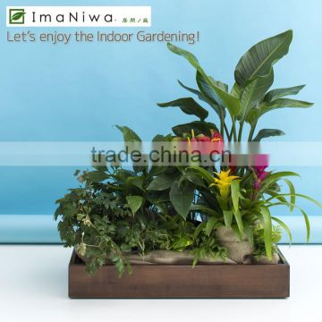 Perfect waterproofing wood rectangular box put decorative flower pots