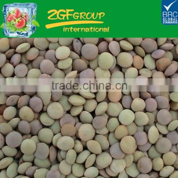 2016 New High Quality kidney beans
