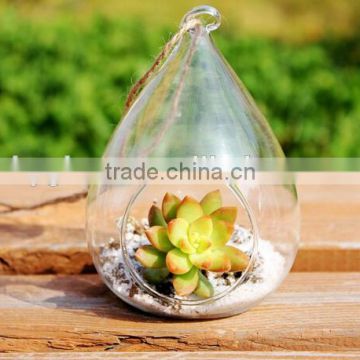 Borosilicate Handmade Clear Glass Vases
