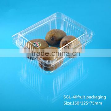 wholesale clear rectangular plastic container and lid