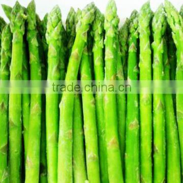 IQF FROZEN GREEN ASPARAGUS WHOLE AND CUTTED GOOD PRICE