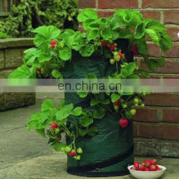 garden vegetable grow bag potato/strawberry planter bag