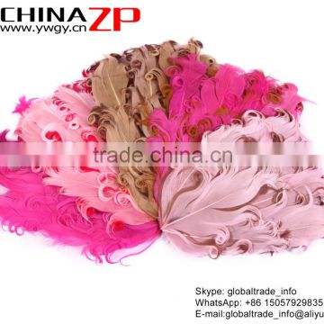 Leading Supplier CHINAZP Bulk Sale Dyed Pink and Brown Collection Curled Goose Feathers Plumage Pad for Girls