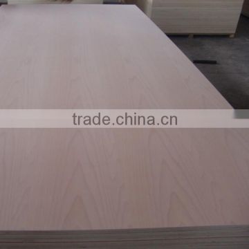 Higt qulity furniture & decoration waterproof plywood