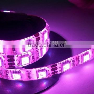 CE RoHS approved High Quality Cheap Price Copper Lamp Body Material 5m/roll Flexible rope SMD 5050 LED Strip Light RGB