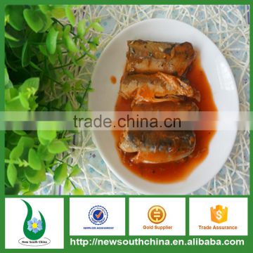 best buy canned mackerel fish in tomato sauce for American market