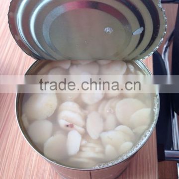 Canned Water Chestnuts for sale