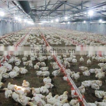 Full Set Automatic Poultry Farming Equipment for Chicken