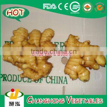 2015 fresh ginger with lowest price 8kg/mesh bag
