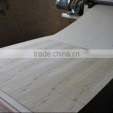 poplar combi core 2mm plywood for India