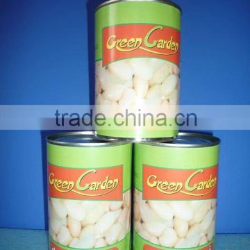 canned food white beans in brine