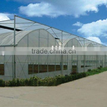 Economical UV plastic film greenhouse for vegetable