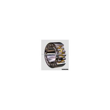 LYC Double row cylindrical roller bearing
