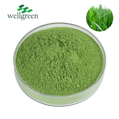 China Manufacturer Organic Barley Leaf Juice Powder Barley Grass Powder Brown Powderleaf Extract