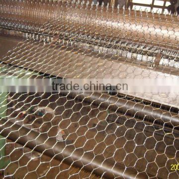 Hexagonal Wire Netting/chicken cage