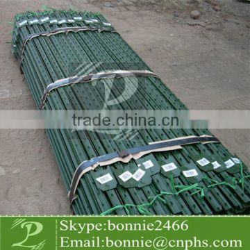 10ft steel Green paint cattle fencing post