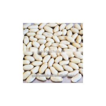shandong long type blanched peanut kernel