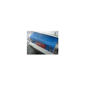 28KW Easy Cleaning Fruit Juice Press Machine High-Speed For Grapes