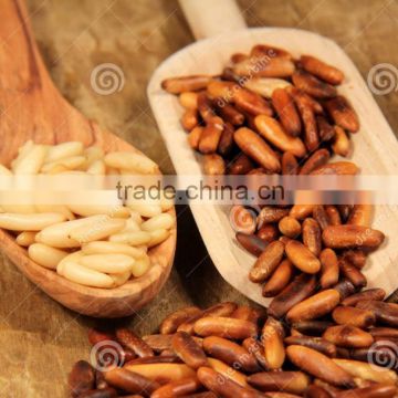 hot selling pine nuts
