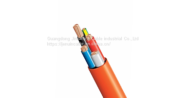 6mm Orange Circular Cable 4 Core+ Earth 0.6-1kv