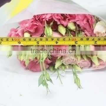 Special fresh preserved good smell eustoma flowers