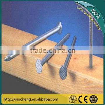 Guangzhou nail polish/steel nails/iron steel wire nails