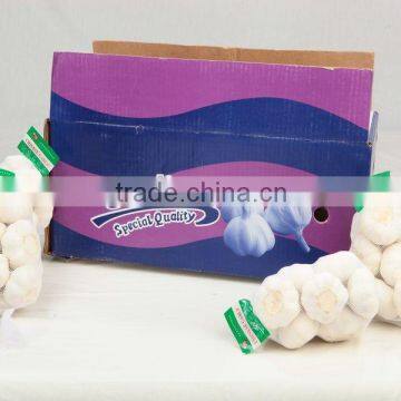 Hot sale laiwu fresh normal white garlic