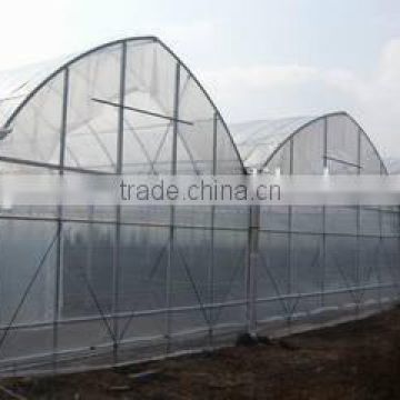 8mm thickness multi span polycarbonate greenhouse with cooling pad