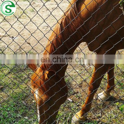 Powder coated chain link fence farm security fencing
